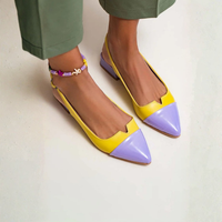 Pointed Bi-Color Ballet Flats
