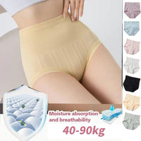 High Waist Control Briefs